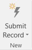 Submit Record button